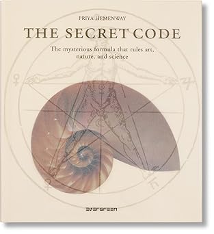 The Secret Code Hardcover – 1 Nov. 2008 by Priya Hemenway (Author)